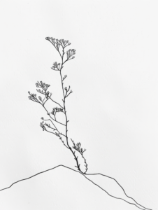 A Black and White Drawing of a Plant Growing from a Mountain