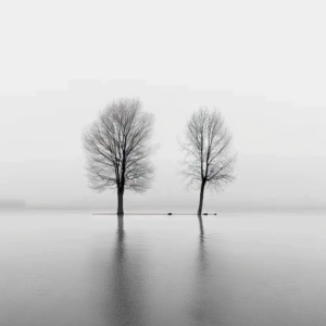 Two Trees Standing Tall in a Flooded Forest