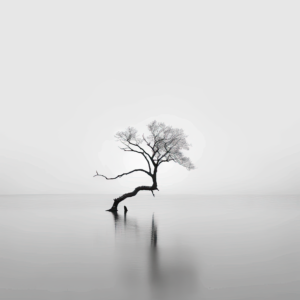 Tranquil Reflection: A Minimalist Tree in a Calm Waterscape